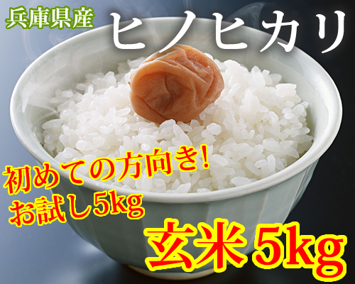 しん様専用 H29 愛媛県産ヒノヒカリ 玄米 30㎏の+consorziofare.com